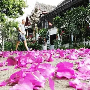 https://lotus-corner-vegan-plant-based-bb.hotelsluangprabang.com