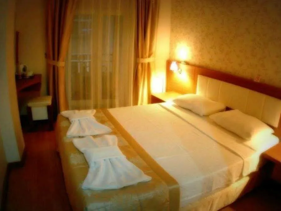 Flower Palace Hotel Istanbul 2*,